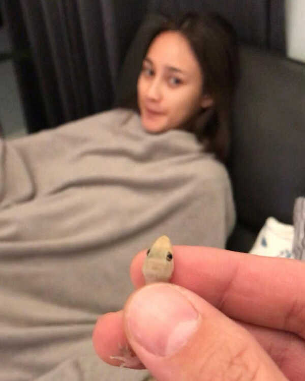 นาว ทิสานาฏ