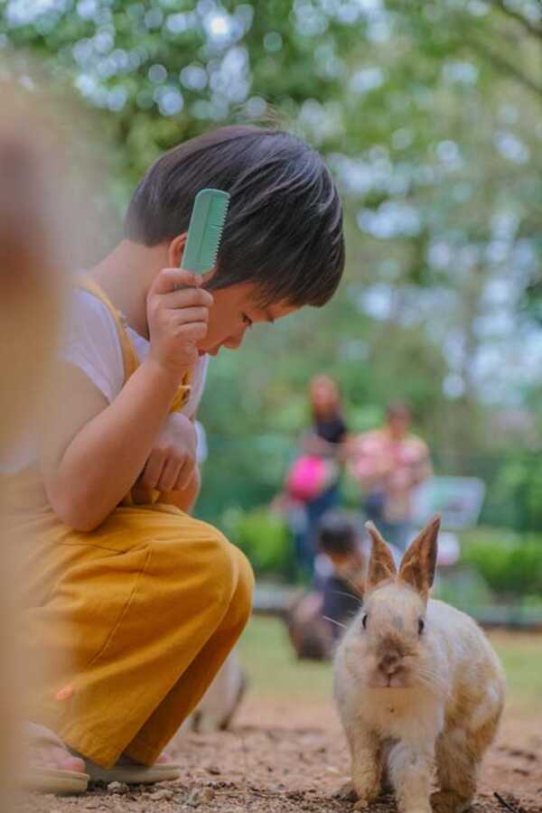 สวนสัตว์โบนันซ่า