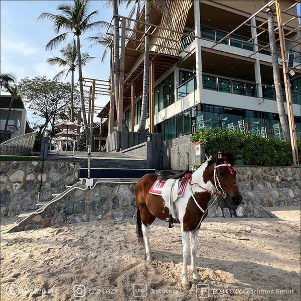 ที่พักหน้าร้อน 2568 ติดทะเล