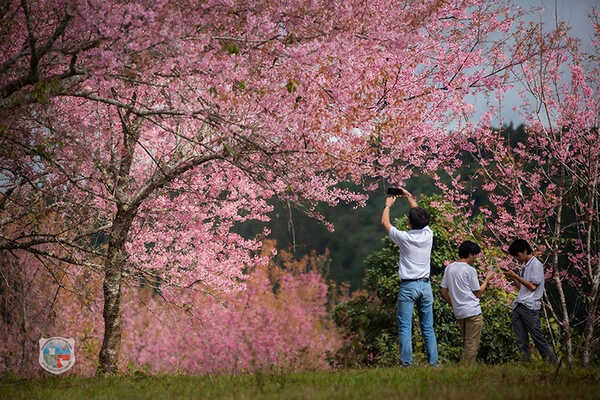 ภูลมโล 2569