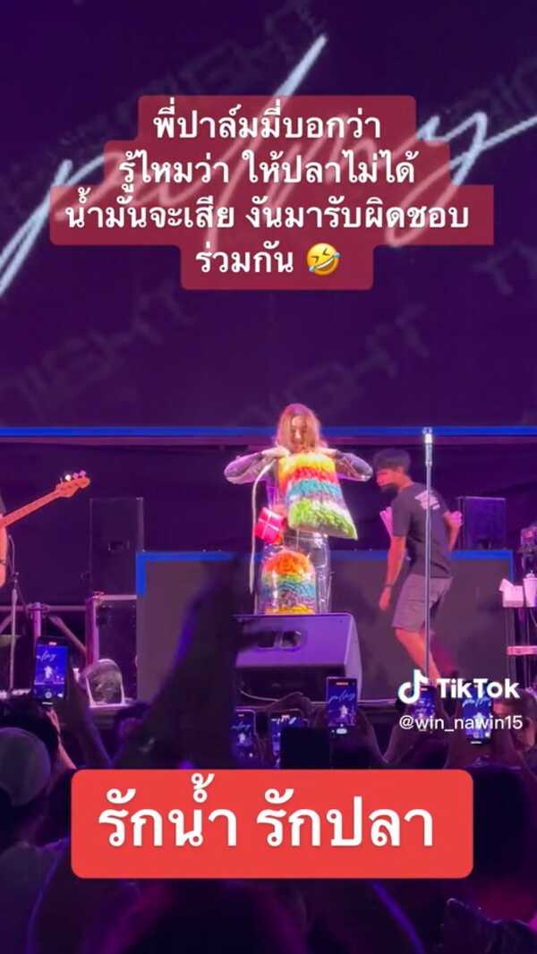 ปาล์มมี่ อาหารปลา