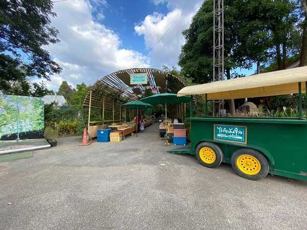 Mulberry Fest’ 2019 ไร่กำนันจุล