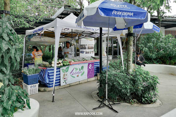 วังจันทร์ ระยอง