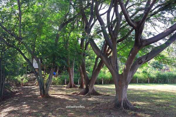 เที่ยวโคราช