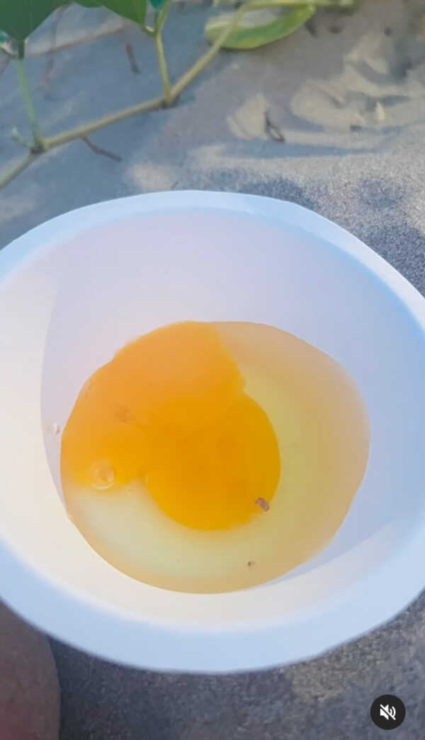 ปิ่น เก็จมณี