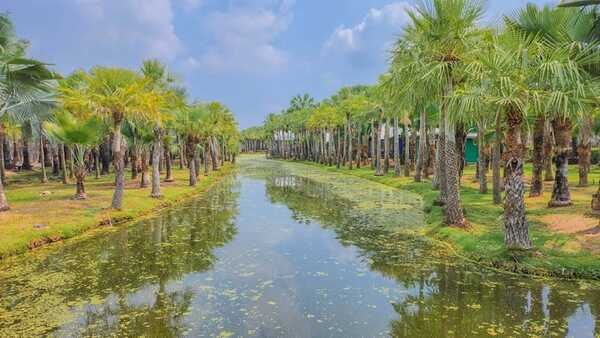 สวนปาล์มฟาร์มนก