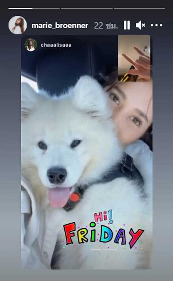 มารี พิชญ์