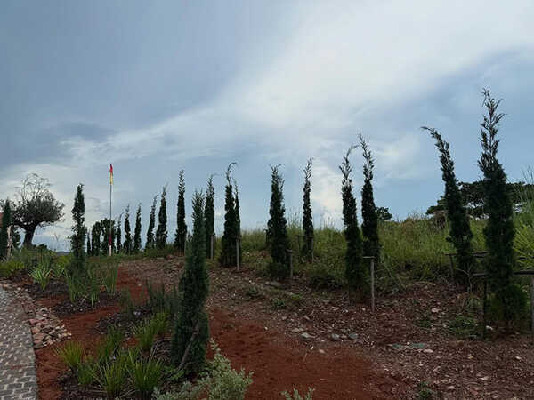 บ้านญาญ่า เขาใหญ่