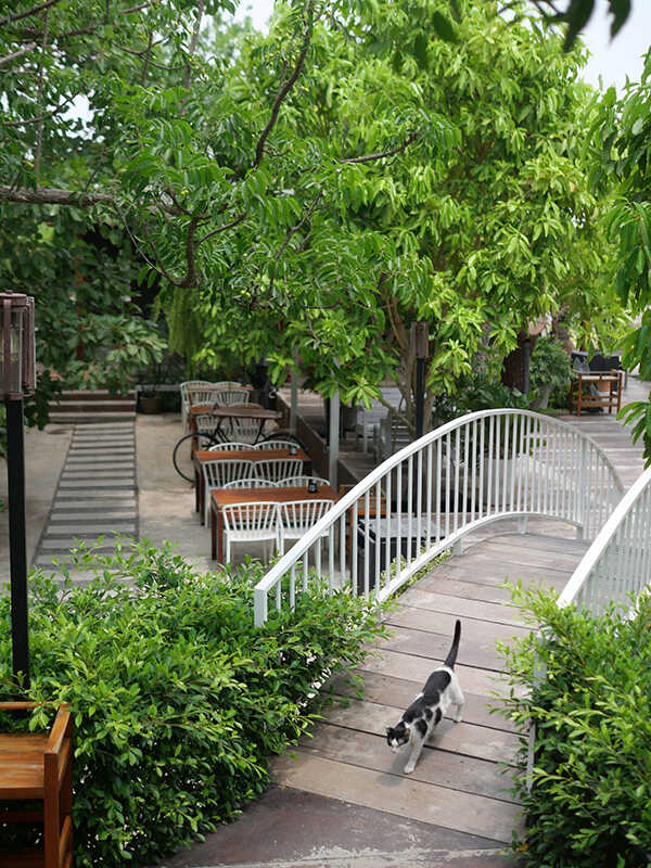 คาเฟ่สิงห์บุรี