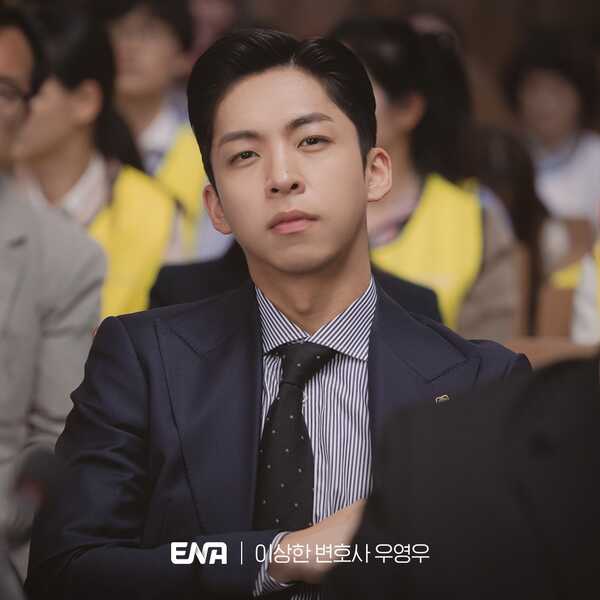extraordinary attorney woo