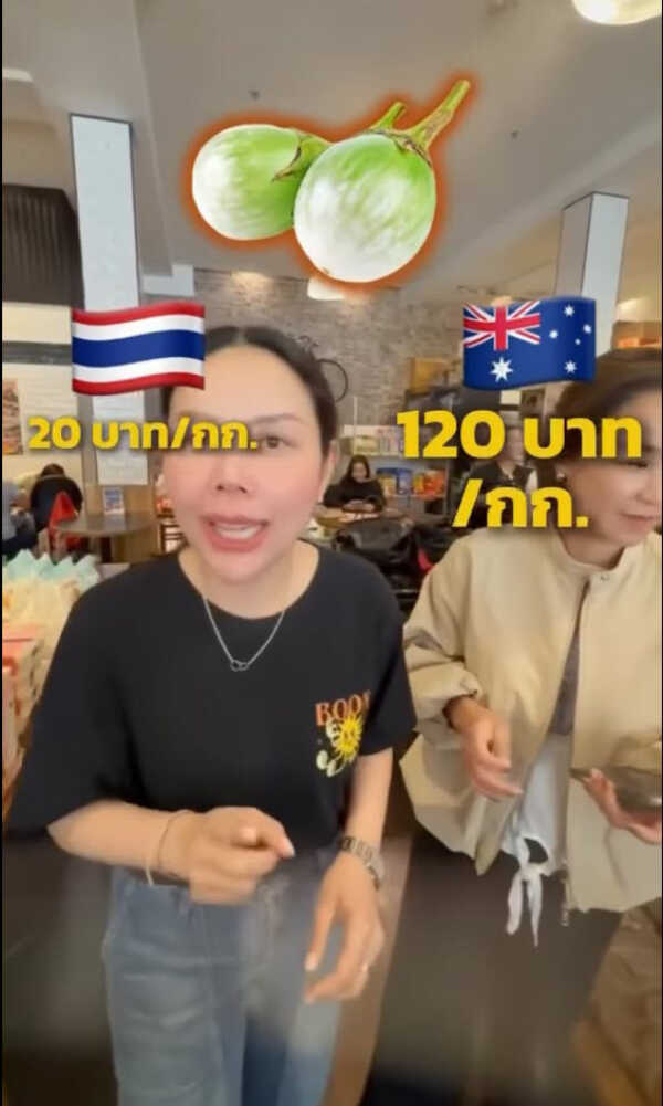 หม้อแม่จูน
