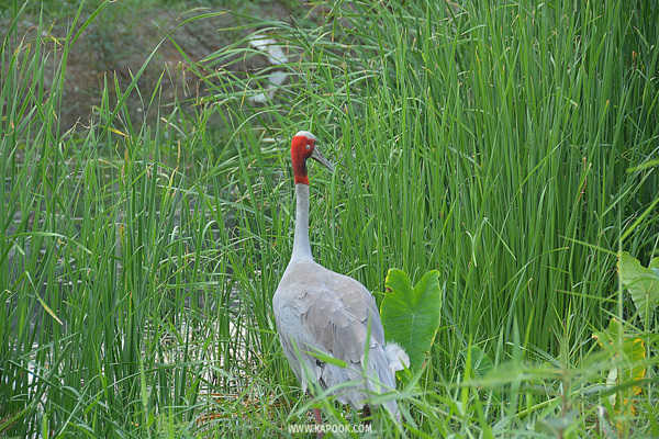 เที่ยวปทุมธานี