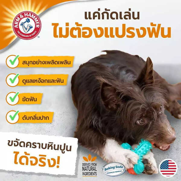 Arm and Hammer Treadz ของเล่นสุนัข ดูแลเหงือกและฟัน