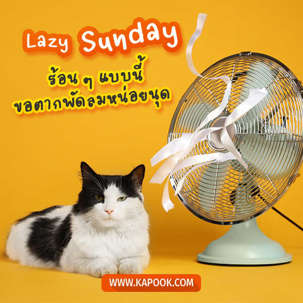 สวัสดีวันอาทิตย์