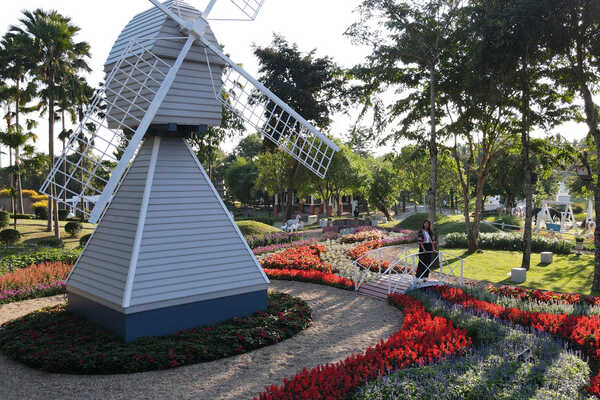 เทศกาลชมสวน 2563 อุทยานหลวงราชพฤกษ์