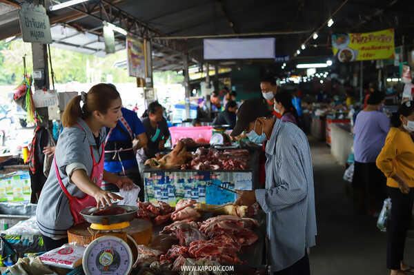กาดเก๊าจาว