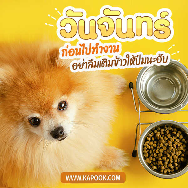 สวัสดีวันจันทร์
