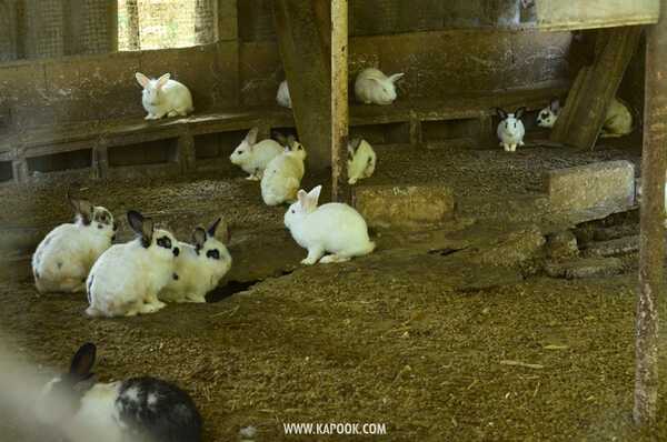 เที่ยวเชียงราย