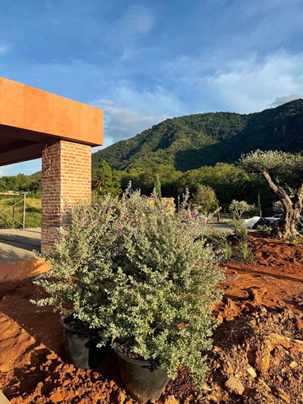 บ้านญาญ่า เขาใหญ่