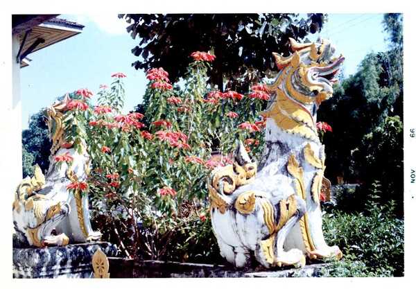 เชียงใหม่