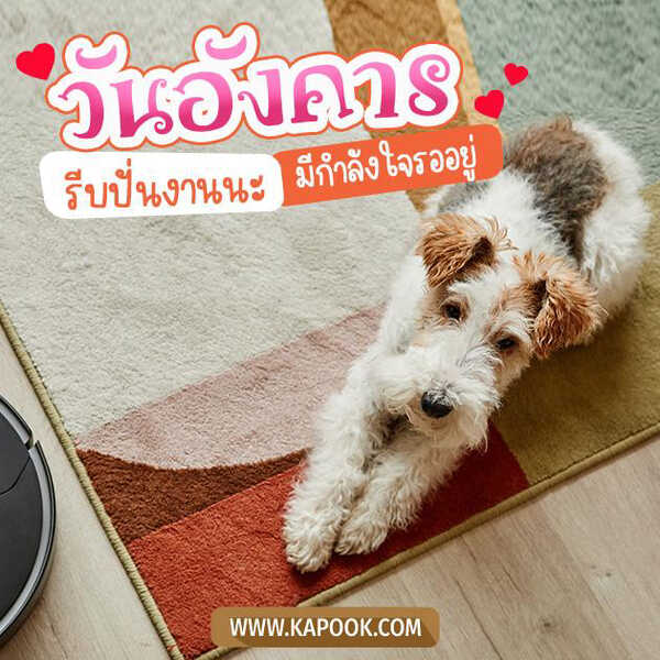 สวัสดีวันอังคาร