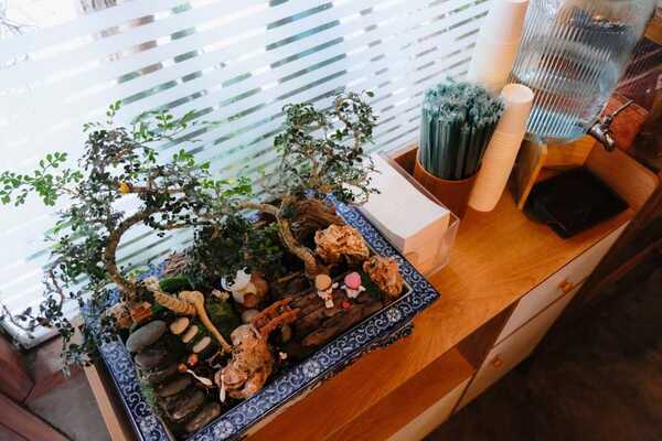 Sensu Tea House and Coffee Bar