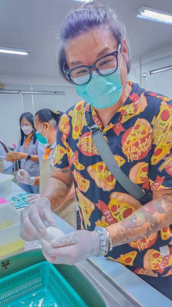 แกะไข่จระเข้