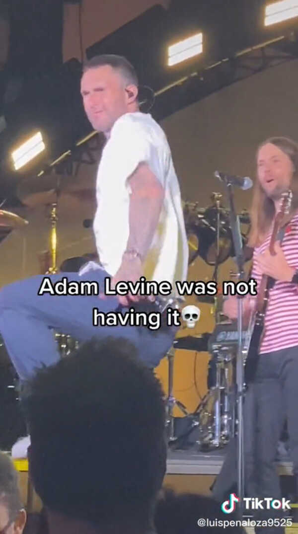 อดัม เลอวีน 