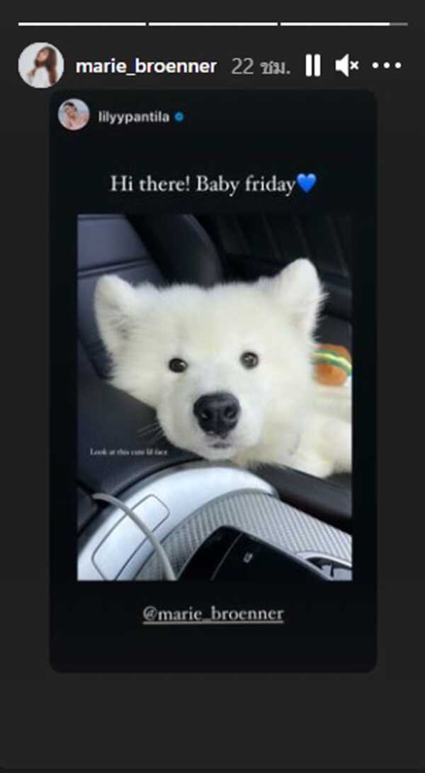 มารี พิชญ์