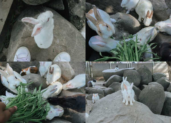 เชียงคาน  