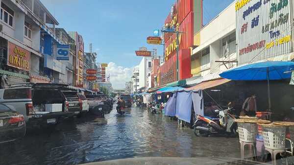 ตับปลาทูผัดฉ่า