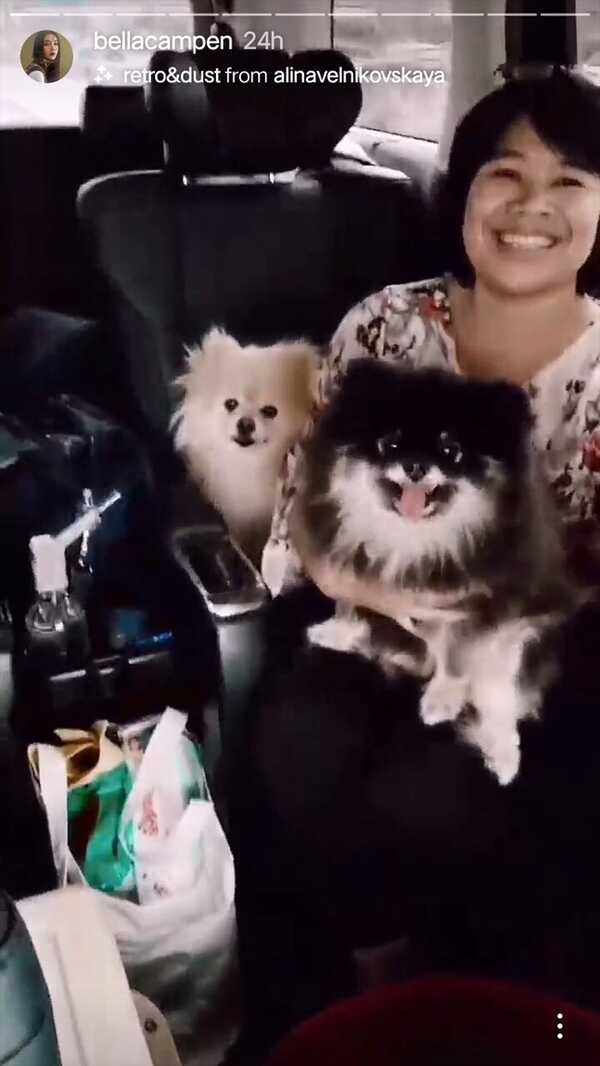 เวียร์ เบลล่า