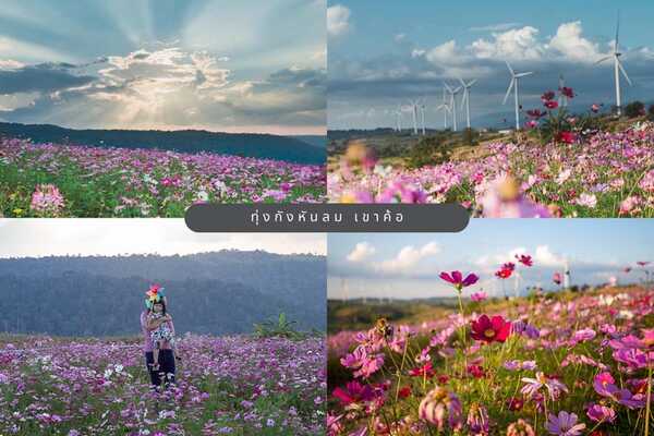 ขับรถเที่ยว