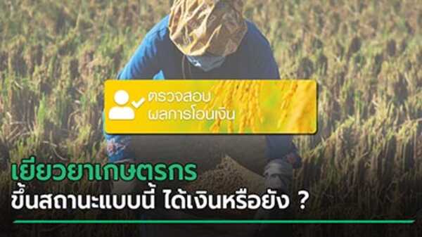 เยียวยาเกษตรกร