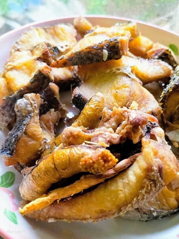 ปลาช่อนผัดขึ้นฉ่ายใส่ขิง เมนูปลาช่อน เมนูผัดขึ้นฉ่าย เมนูปลา สูตรอาหาร อาหารไทย