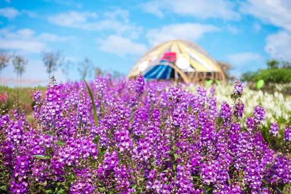 เที่ยววันหยุด