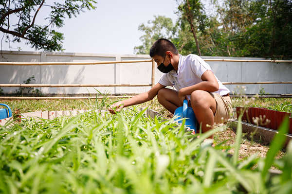 โรงเรียน CONNEXT ED