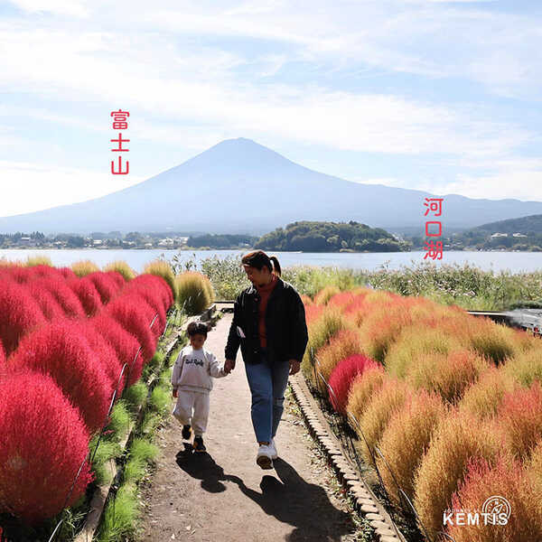 จุดชมภูเขาไฟฟูจิ  