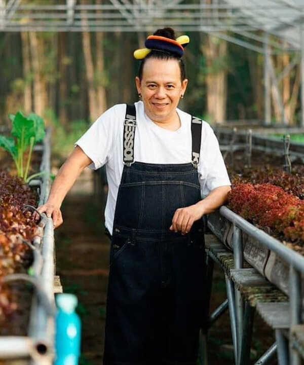 แฟนดารา