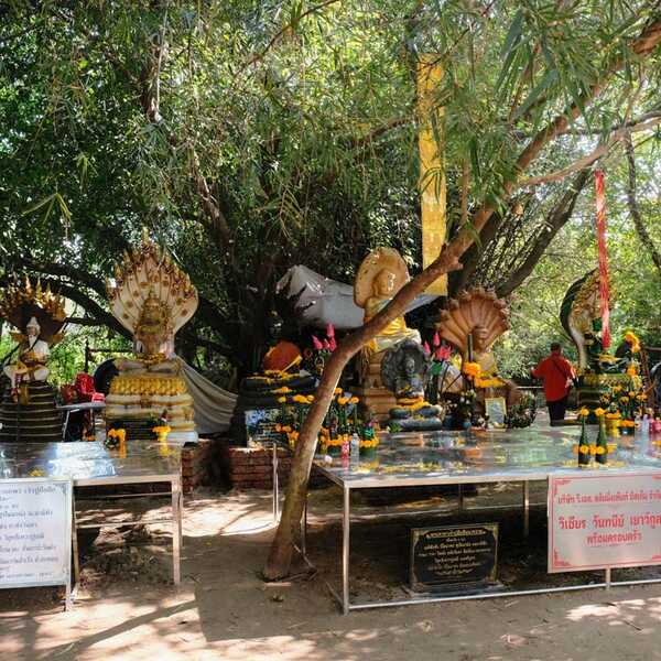 เจ้าปู่อือลือนาคราช เกาะดอนโพธิ์
