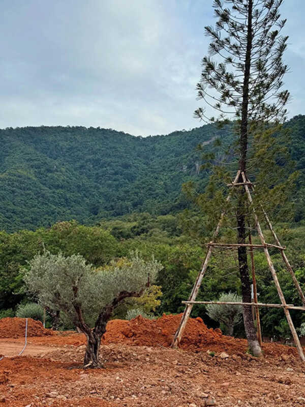 บ้านญาญ่า เขาใหญ่