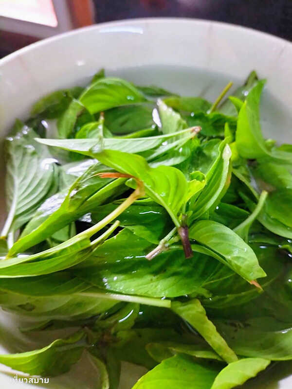 มาม่าผัดขี้เมากุ้ง เมนูผัดขี้เมา อาหารจานเดียว สูตรอาหาร