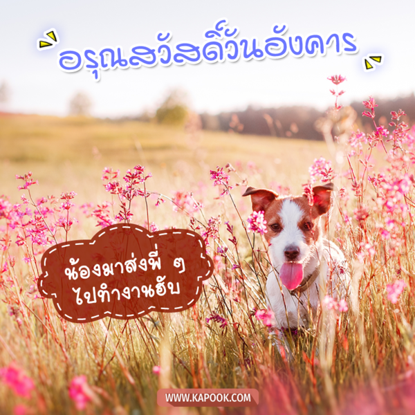 อรุณสวัสดิ์วันอังคาร น้องมาส่งพี่ ๆ ไปทำงานฮับ
