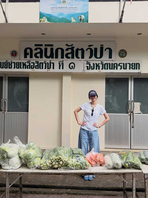 ต้าเหนิง เจเจ 