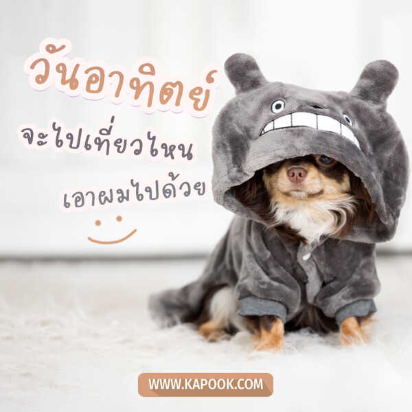 สวัสดีวันอาทิตย์