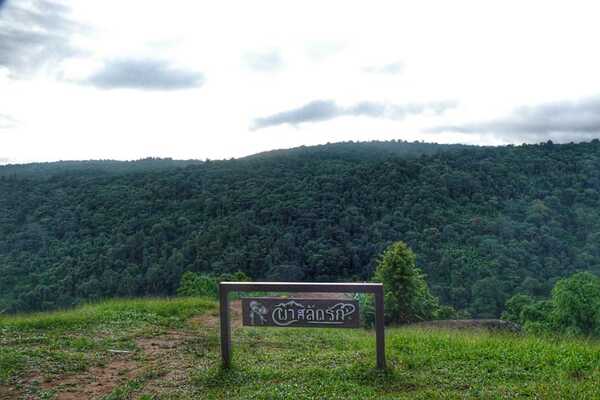อุทยานแห่งชาติภูหินร่องกล้า