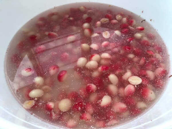 มะม่วงหาวมะนาวโห่แช่อิ่ม เมนูแช่อิ่ม ผลไม้แช่อิ่ม สูตรขนม