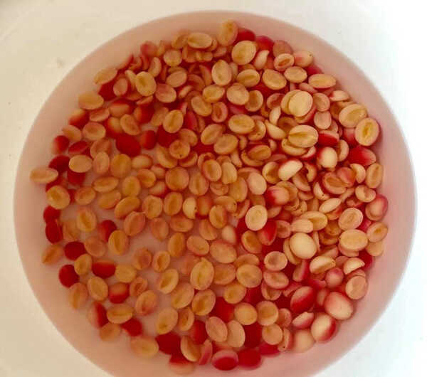 มะม่วงหาวมะนาวโห่แช่อิ่ม เมนูแช่อิ่ม ผลไม้แช่อิ่ม สูตรขนม