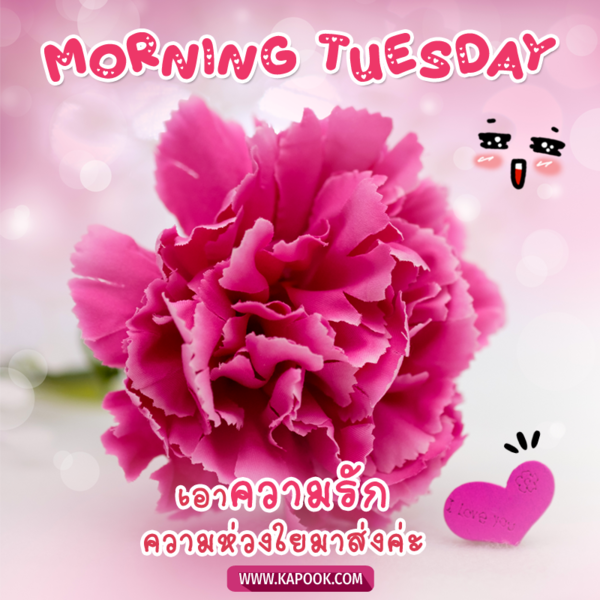 สวัสดีวันอังคาร เอาความรักความห่วงใยมาส่งค่ะ