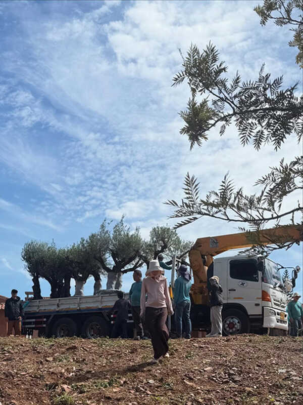 บ้านญาญ่า เขาใหญ่